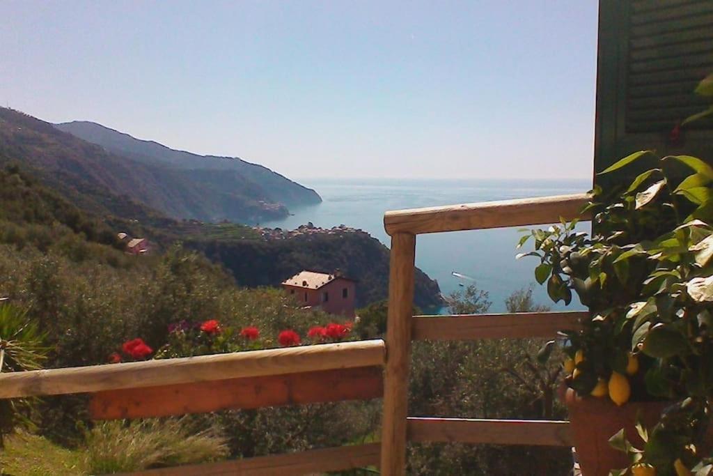 Apartment Amazing Flat At The Heart Of 5 Terre National Park *