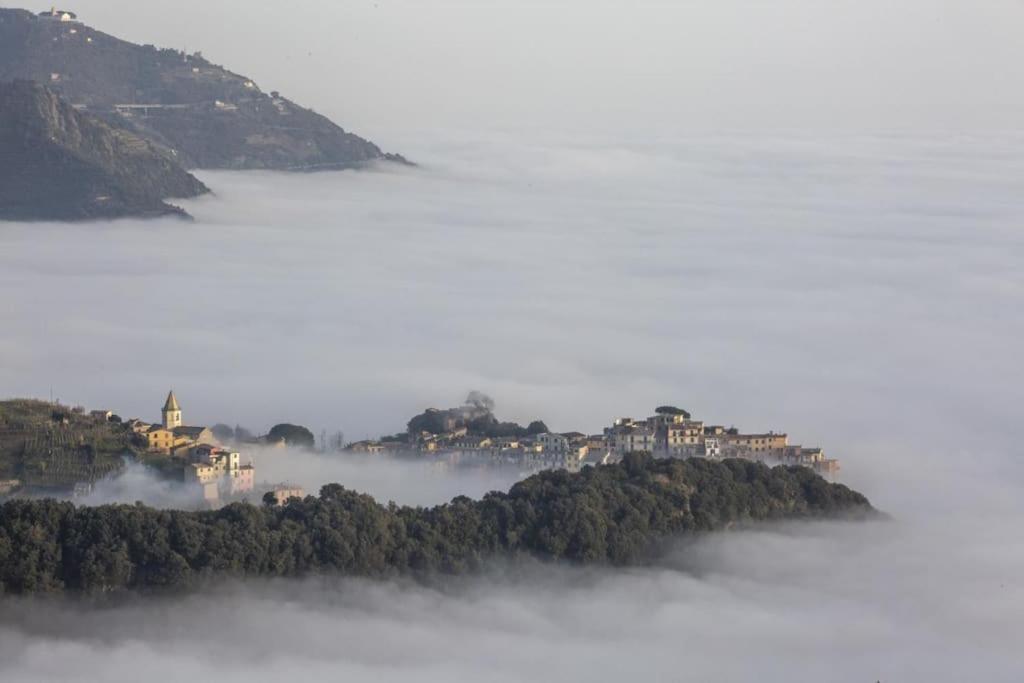 Apartment Amazing Flat At The Heart Of 5 Terre National Park Vernazza