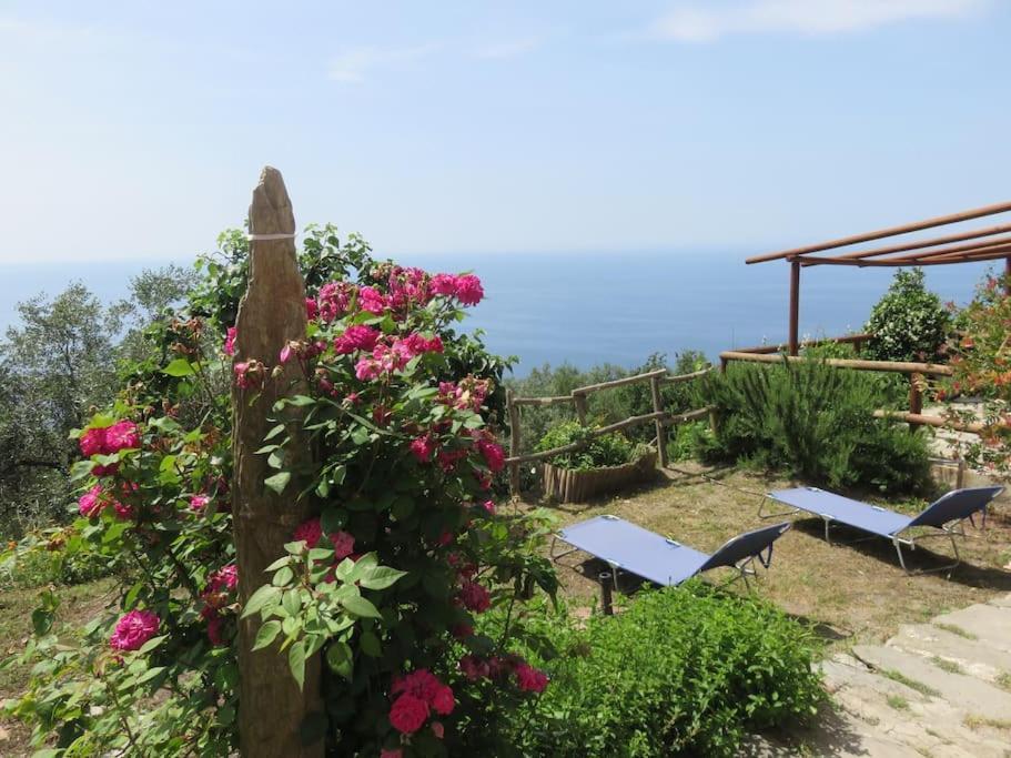 Amazing Flat At The Heart Of 5 Terre National Park * Vernazza