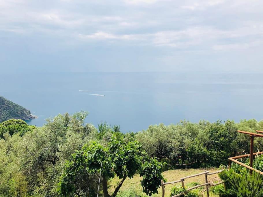 Amazing Flat At The Heart Of 5 Terre National Park Apartment Vernazza
