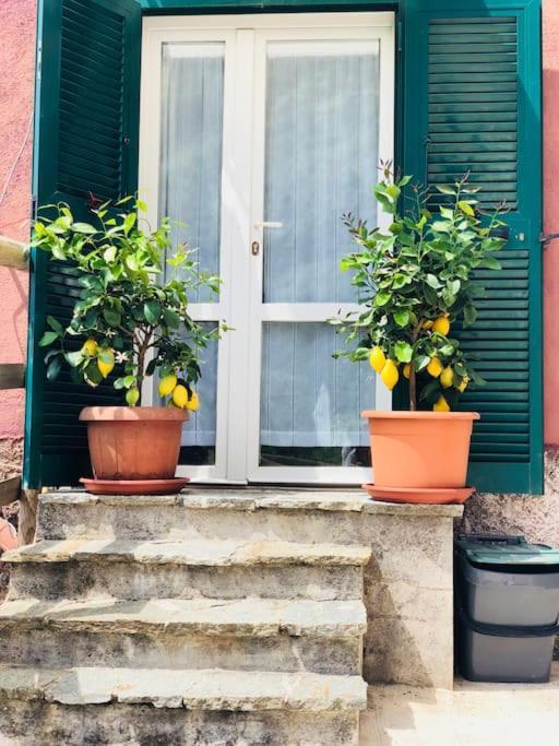 Amazing Flat At The Heart Of 5 Terre National Park Apartment *
