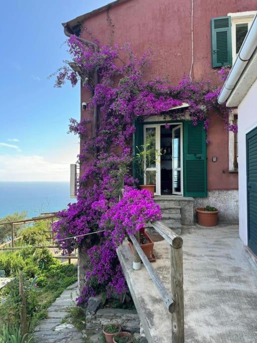 Apartment Amazing Flat At The Heart Of 5 Terre National Park Vernazza
